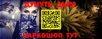 прущие грибы Краснодар