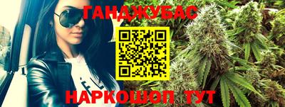прущие грибы Краснодар