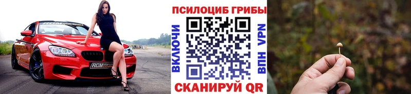 omg ONION  Волоколамск  Галлюциногенные грибы мухоморы 