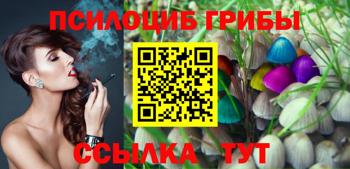 Псилоцибиновые грибы прущие грибы  Вход с VPN  Волоколамск 