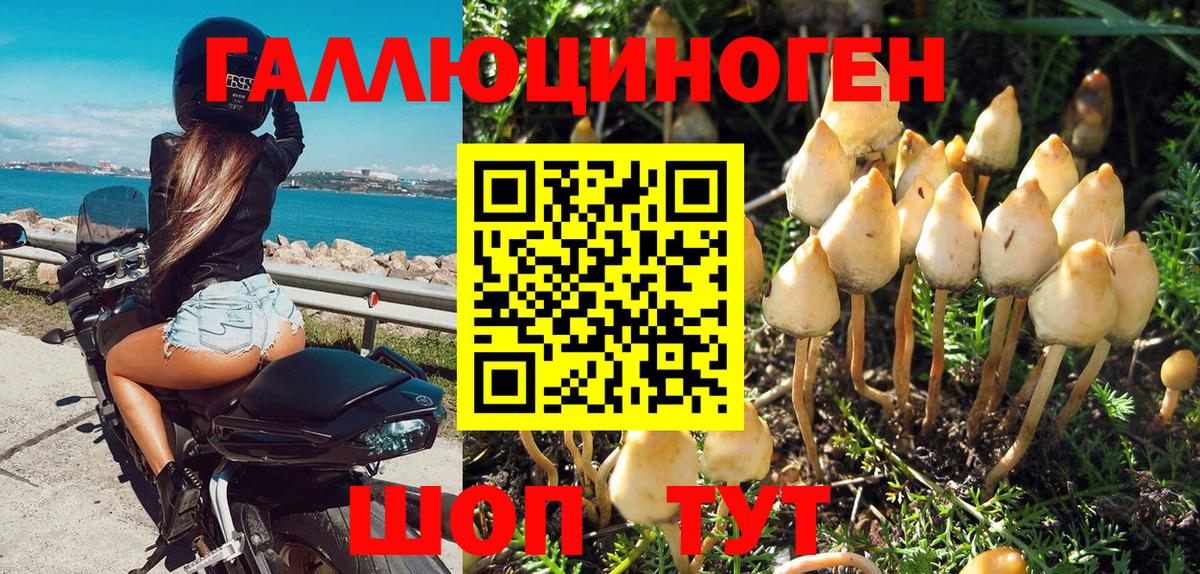 Псилоцибиновые грибы GOLDEN TEACHER Волоколамск